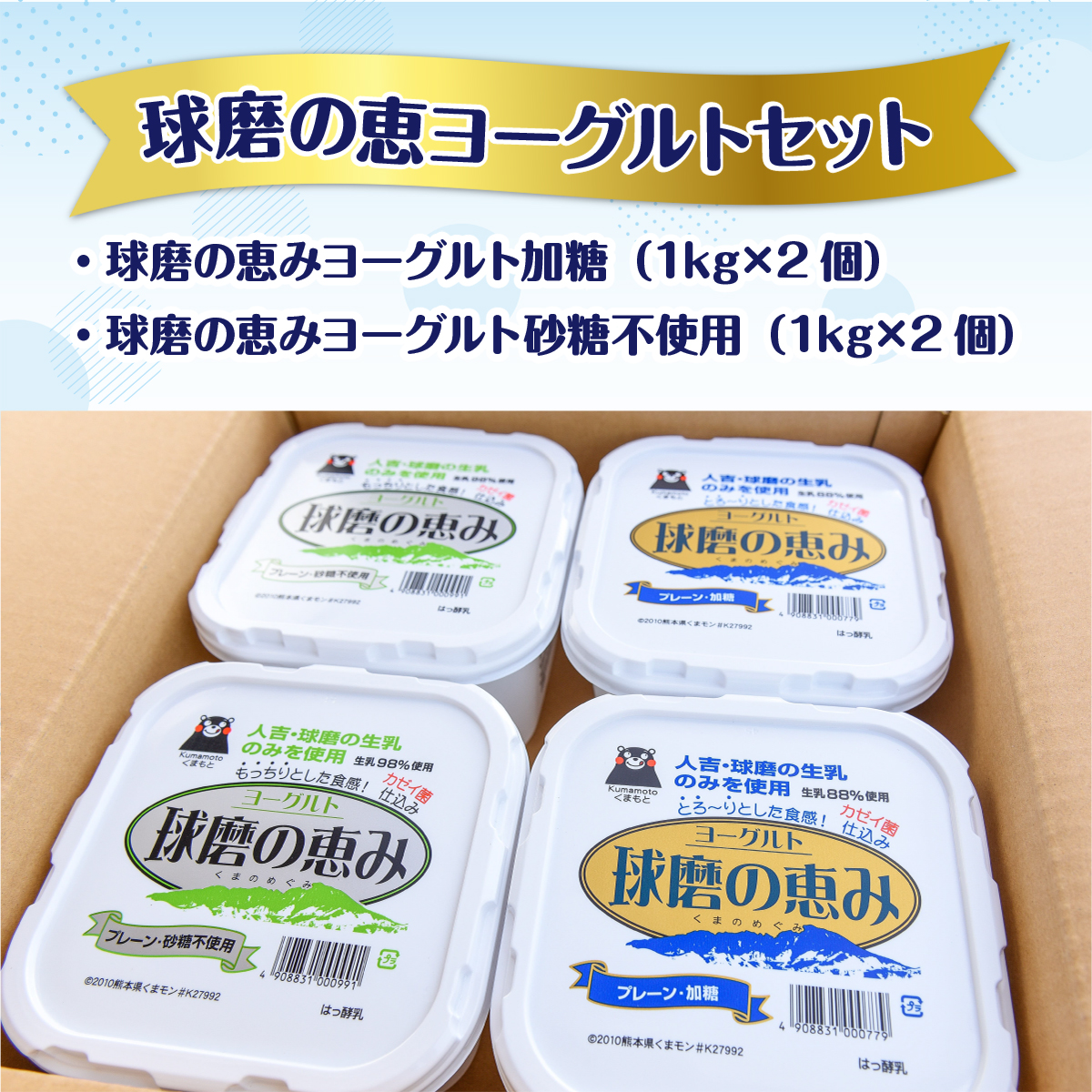 市場 ふるさと納税 送料無料 とろ〜りもっちり 乳製品 球磨の恵みヨーグルトセット