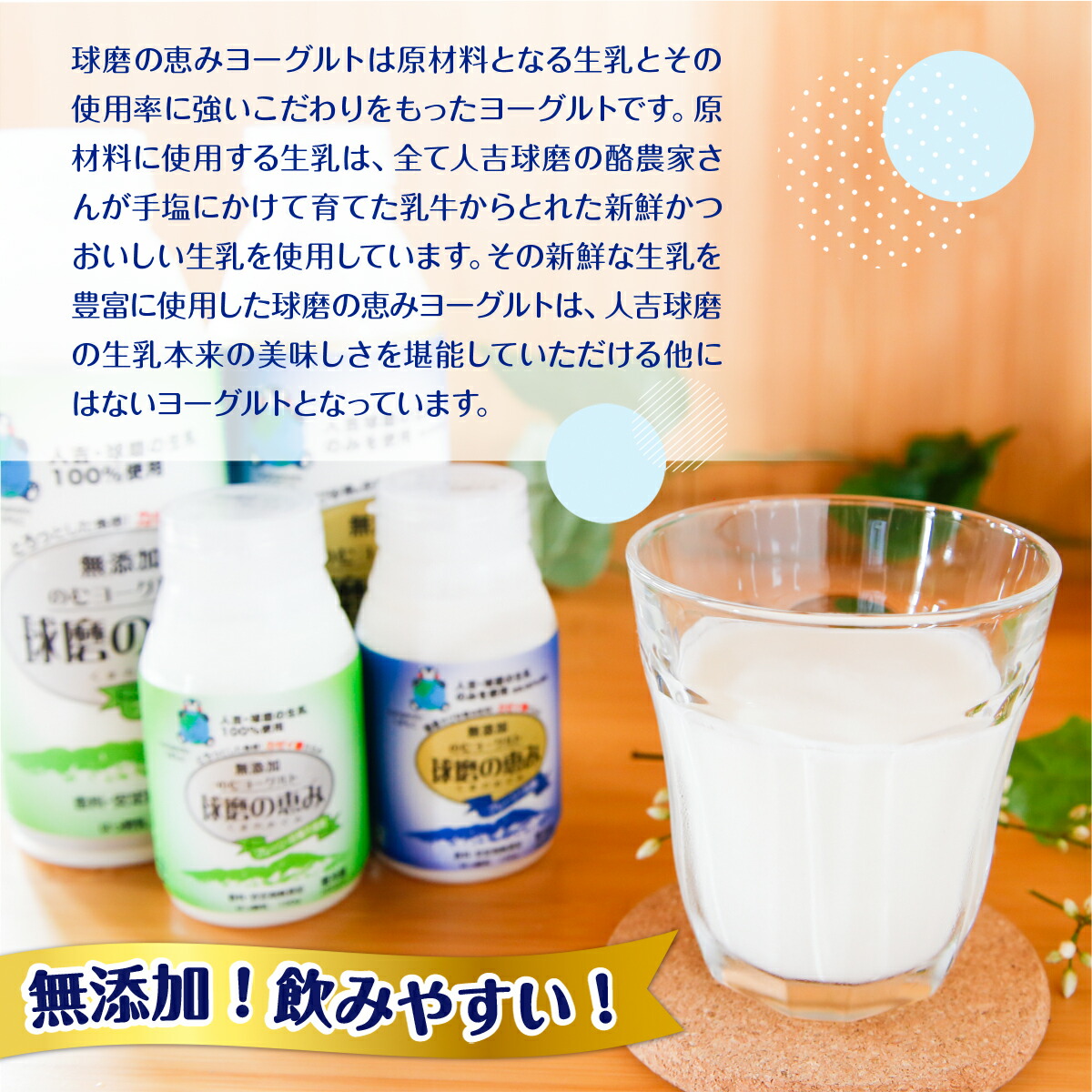 【ふるさと納税】球磨の恵みのむヨーグルト詰め合わせセット/送料無料のむヨーグルト乳製品乳酸菌善玉菌健康美容腸活健康JZ009