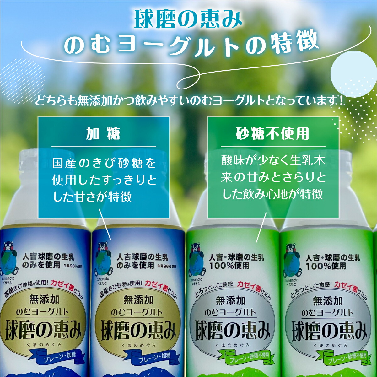 【ふるさと納税】球磨の恵みのむヨーグルト詰め合わせセット/送料無料のむヨーグルト乳製品乳酸菌善玉菌健康美容腸活健康JZ009