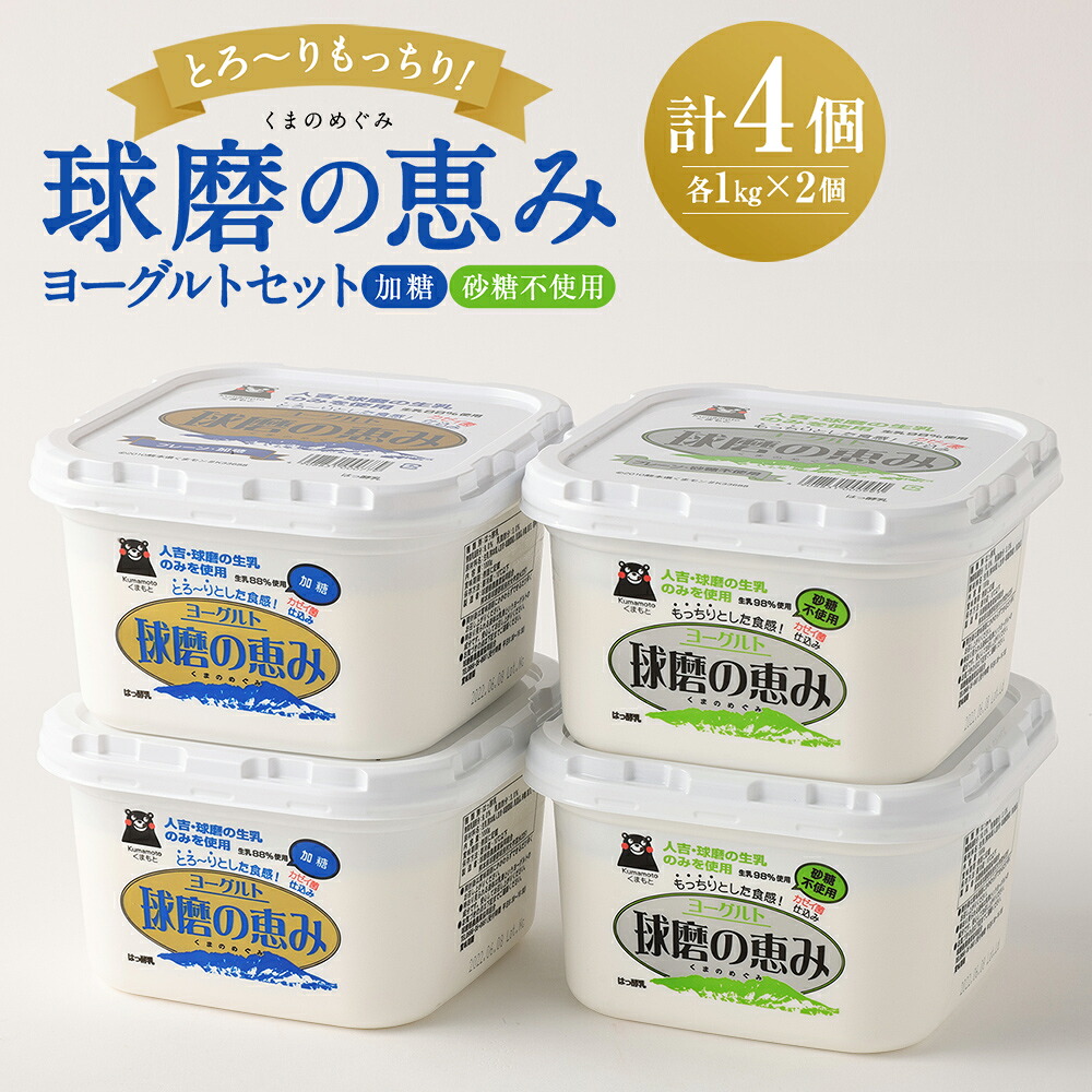 【ふるさと納税】とろ～りもっちり!球磨の恵みヨーグルトセット 送料無料 乳製品 ヨーグルト 乳酸菌 健康 免疫力 加糖・砂糖不使用各1kgx2個 計4個｜熊本県湯前町