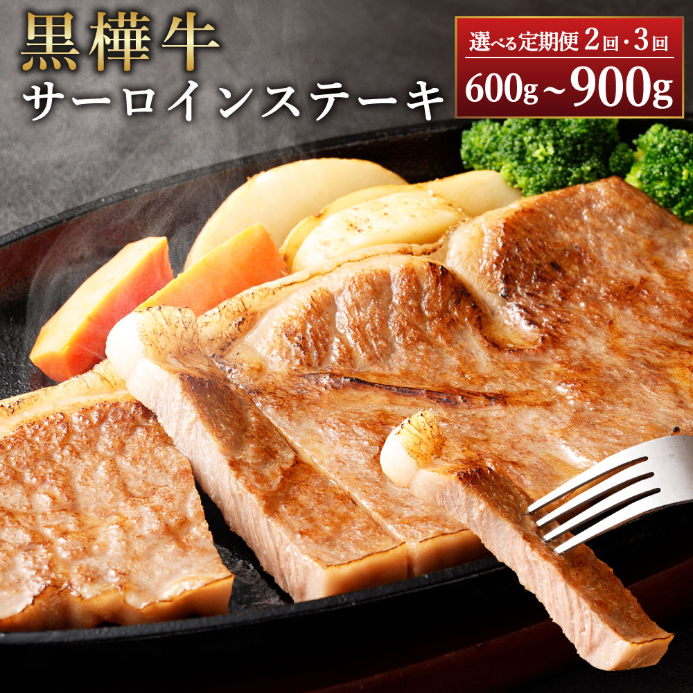 【ふるさと納税】<選べる回数定期便> 黒樺牛 【定期便】 肉厚 サーロインステーキ 300g (300g×2回 計600g) (300g×3回 計900g) 牛肉 お肉 黒毛和牛 和牛 ステーキ サーロイン 冷凍 熊本県産 国産 熊本県 湯前町 送料無料|熊本県湯前町