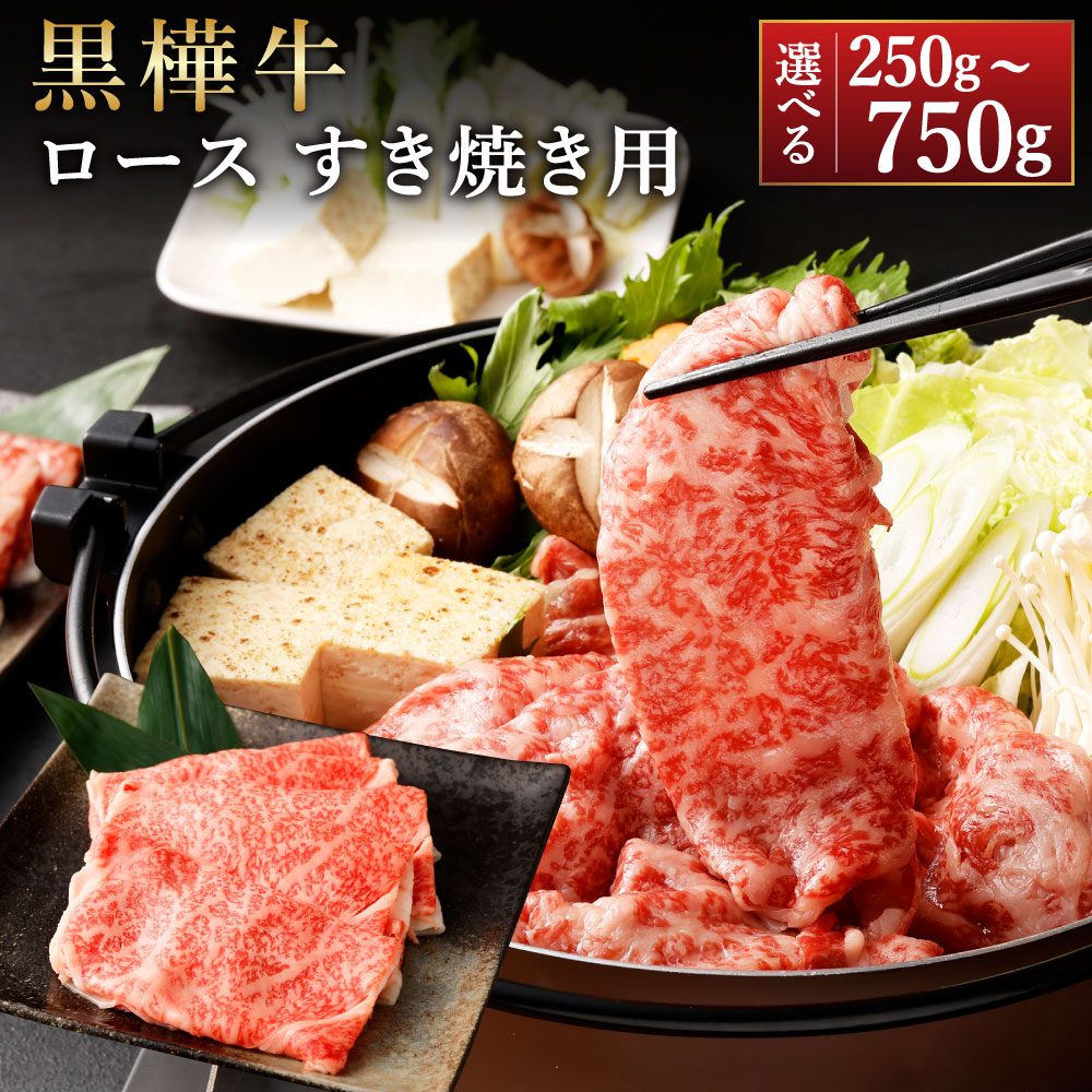 【ふるさと納税】【選べる容量】黒樺牛 ロース すき焼き用 計約250g～約750g くまもと黒毛和牛 黒毛和牛 和牛 牛肉 肉 お肉 すき焼き すきやき スキヤキ うす切り 薄切り 冷凍 お取り寄せ グルメ 九州 熊本県 湯前町 送料無料｜熊本県湯前町 29,250円