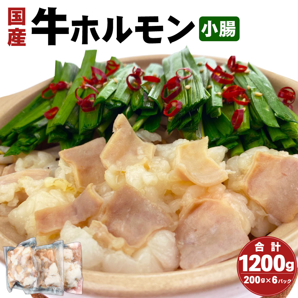 国産 牛ホルモン 小腸 冷凍 小分け 300g×4パック 国産牛 ホルモン 送料無料 鍋