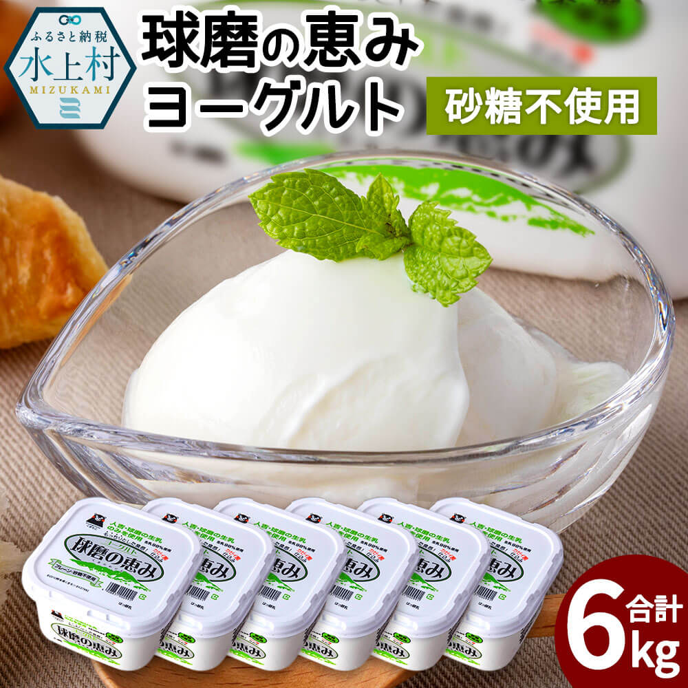 ふるさと納税 球磨の恵みヨーグルト 砂糖不使用 合計6kg 1kg 6パック 乳製品 生乳100 球磨の恵みヨーグルト 砂糖不使用 合計6kg 熊本県産 無糖 プレーン 熊本県産 冷蔵 国産 九州産 おやつ 朝食 送料無料 スイーツ 冷蔵