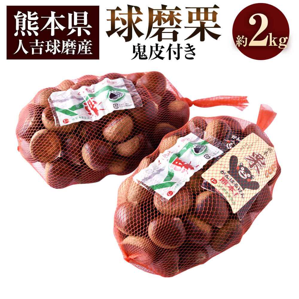 【ふるさと納税】＜予約＞球磨栗（鬼皮付き）約2kg【2025年9月下旬～10月下旬発送予定】栗 くり 筑波 美玖里 複数種 ミックス 冷蔵 人吉球磨産 国産 九州 熊本県 相良村 送料無料