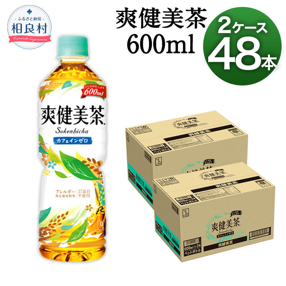 開店記念セール ふるさと納税 爽健美茶 600mlPET 2ケース 24本入り×2 48本 送料無料 コカ コーラ お茶 そうけんびちゃ ペットボトル  セット montenegrina.net