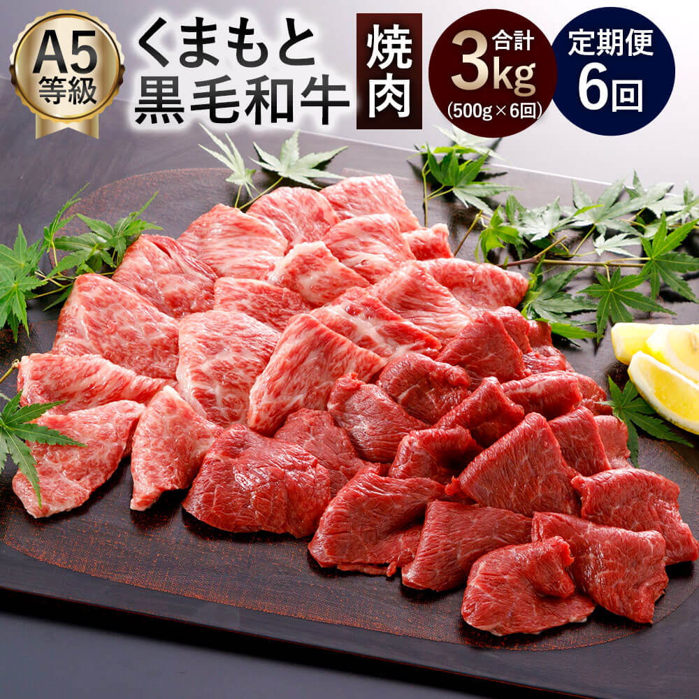 A5ランク くまもと黒毛和牛 焼肉 お取り寄せ 黒毛和牛 バーベキュー 冷凍 500g×6回