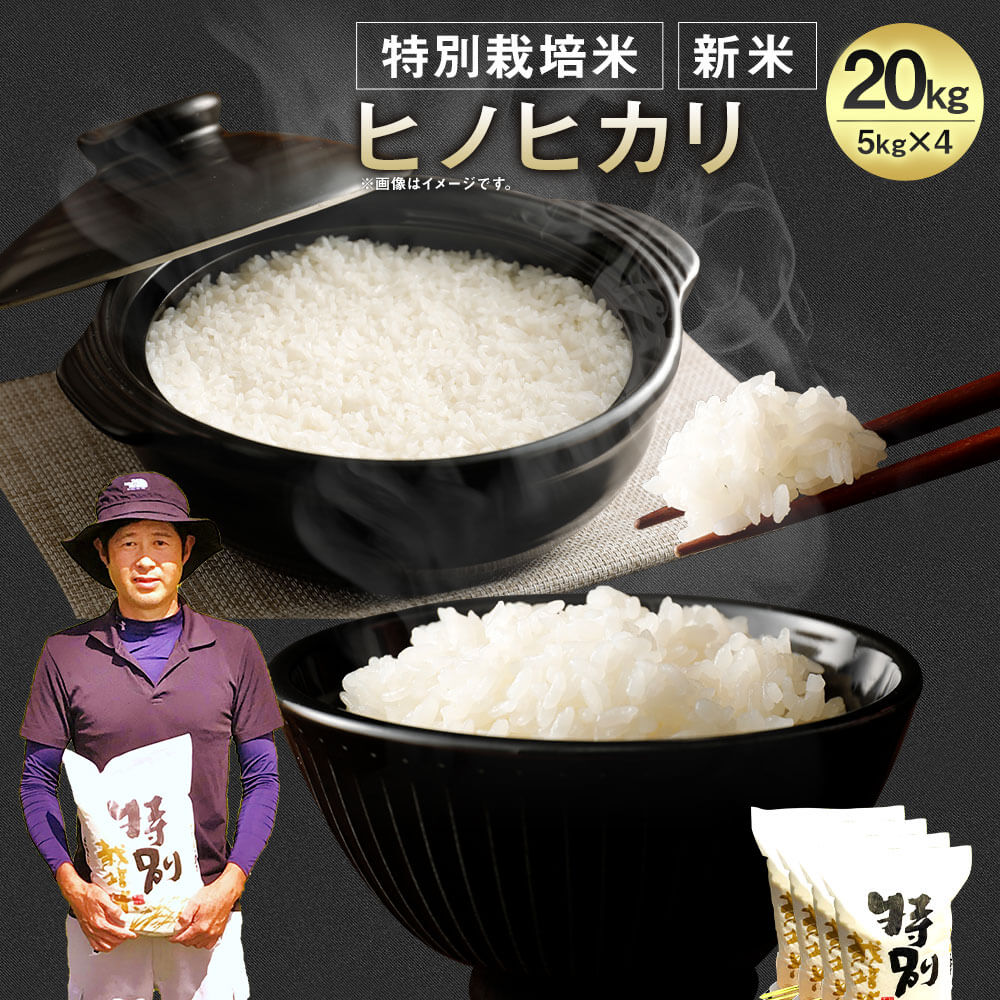 ふるさと納税 お米 相良村産 新米 特別栽培米 ヒノヒカリ kg 5kg 4 お米 日本一の清流 特別栽培米 白米 精米 令和元年度産 ギフト 贈り物 プレゼント 熊本 国産 九州産 送料無料 熊本県相良村特別栽培の基準をクリアした 慣行レベルに比べて 農薬の使用回数 化学肥料 ふるさと納税 お米 相良村産 新米 特別栽培米 ヒノヒカリ kg 5kg 4 お米 日本一の清流 特別栽培米 白米 精米 令和元年度産 ギフト 贈り物 プレゼント 熊本 国産 九州産 送料無料 熊本県相良村特別栽培の基準をクリアした 慣行レベルに比べて 農薬の使用回数 化学肥料