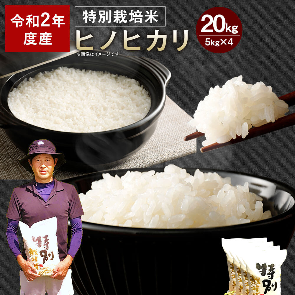 訳ありセール格安 楽天市場 ふるさと納税 令和2年産 相良村産 特別栽培米 ヒノヒカリ kg 5kg 4 お米 白米 精米 熊本県産 国産 九州産 送料無料 熊本県相良村 55 以上節約 Lexusoman Com