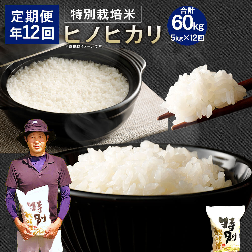 ふるさと納税 定期便年12回 令和2年産 相良村産 特別栽培米 ヒノヒカリ 5kg 合計60kg 5kg 12回 定期便 年12回 毎月 お米 白米 精米 熊本県産 国産 九州産 送料無料 Ohsogreen Fr