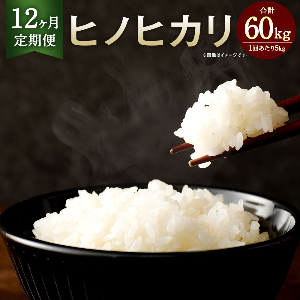 【ふるさと納税】【12カ月定期便】相良村産 ヒノヒカリ 5kg 合計60kg 5kg×12回 定期便 12回 毎月 お米 白米 精米 熊本県産 国産 九州産 送料無料|熊本県相良村