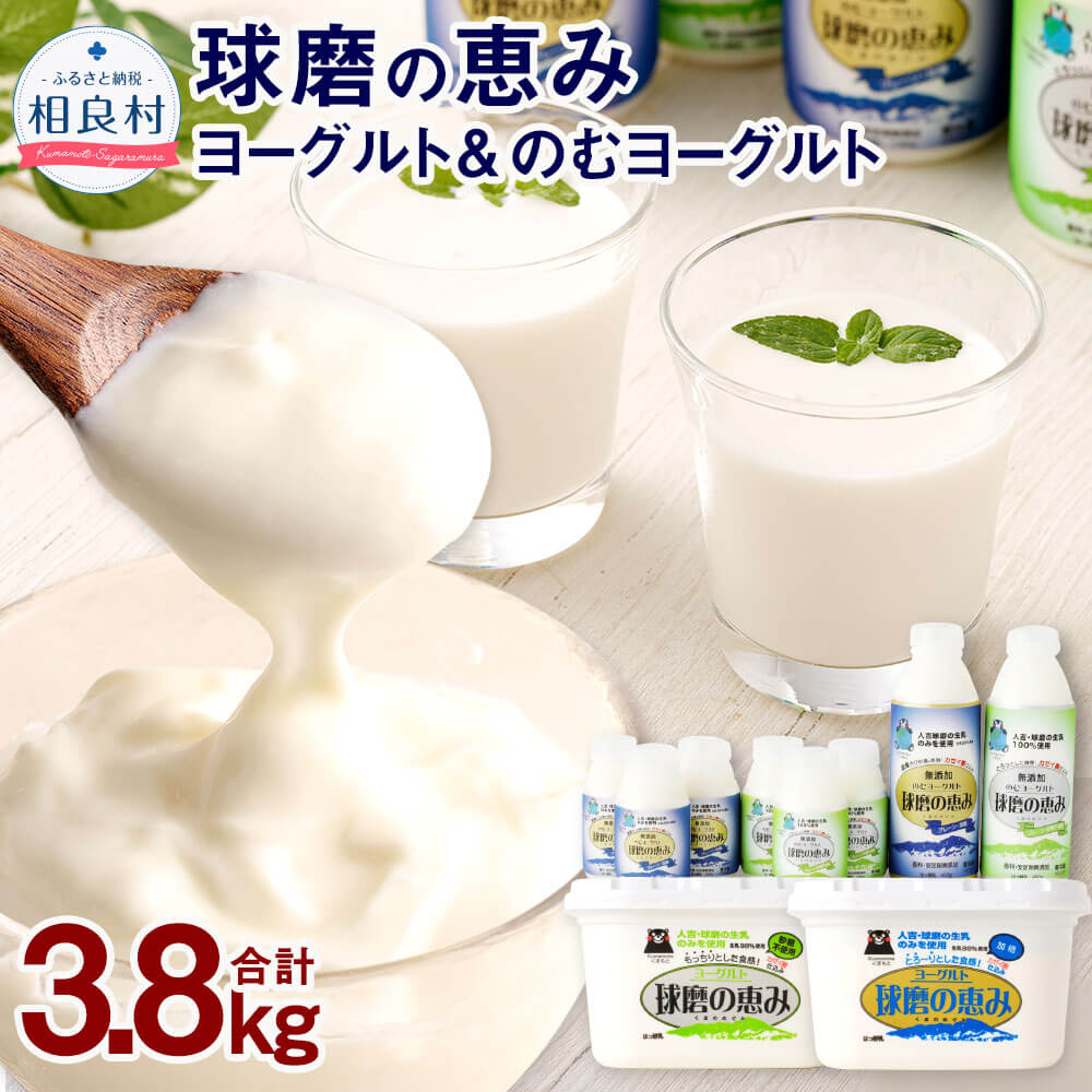 【ふるさと納税】球磨の恵みヨーグルト 2パック & ドリンクヨーグルト 8本セット 合計3.8kg プレーン 球磨の恵み ヨーグルト 加糖 砂糖不使用 1kg×各1パック のむヨーグルト 加糖 砂糖不使用 450g×各1本 150g×各3本 詰合せ 乳製品 セット 球磨人吉産 冷蔵配送 送料無料|熊本県相良村