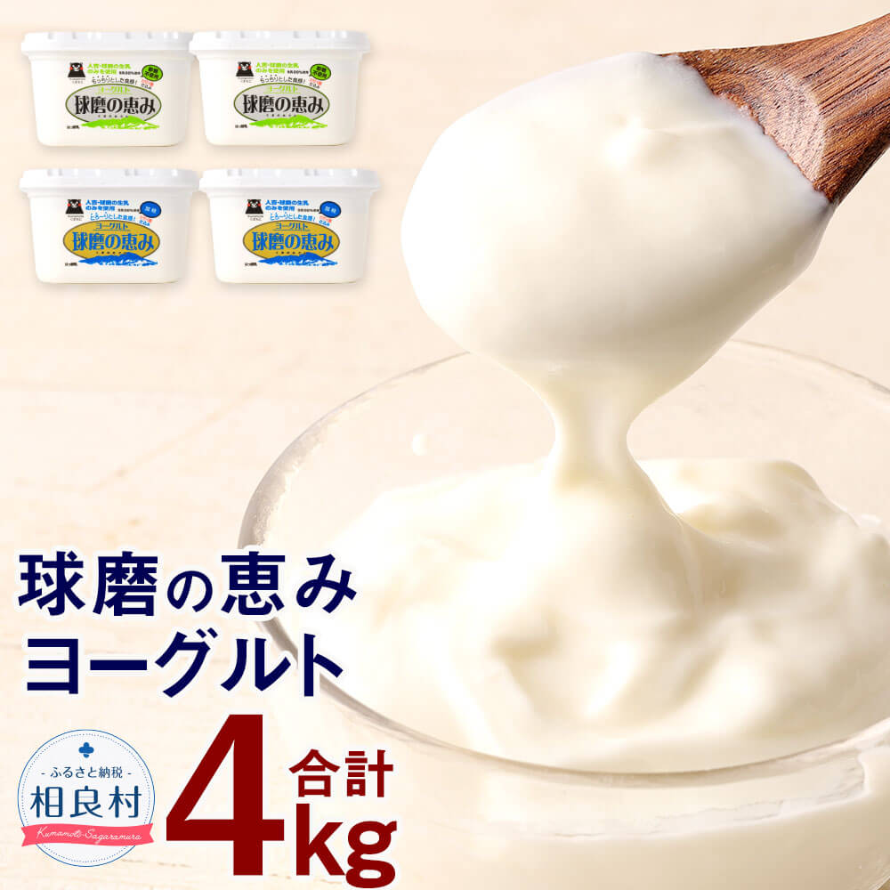 【ふるさと納税】「球磨の恵みヨーグルト」 加糖・砂糖不使用 1000g&times;各2個 合計4個セット 合計4kg 1パック1kg 球磨の恵み ヨーグルト プレーン 加糖 砂糖不使用 詰め合わせ 乳製品 セット 詰合せ 球磨人吉産 冷蔵配送 送料無料｜熊本県相良村