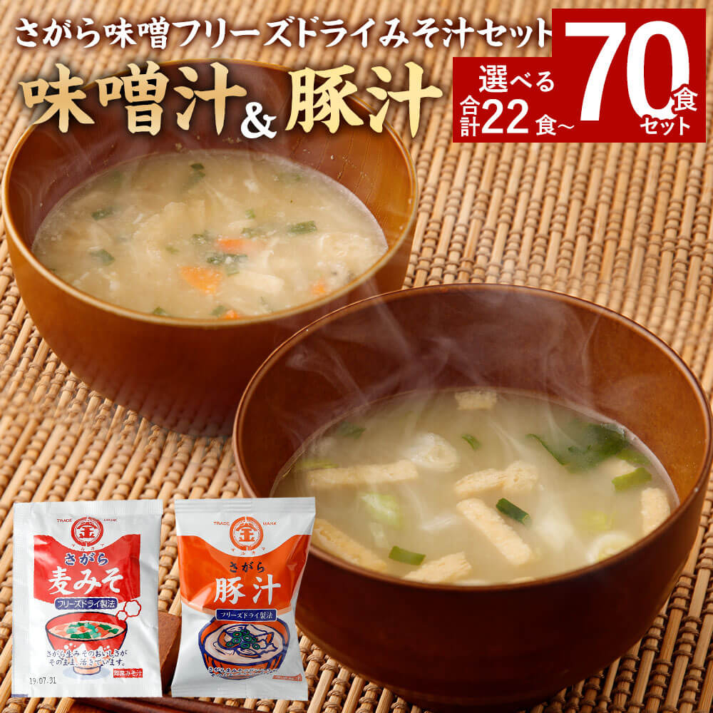 【ふるさと納税】＜選べる セット＞さがら味噌 フリーズドライ 味噌汁  豚汁 合計22食～合計70食セット 即席味噌汁 とん汁 お湯を注ぐだけ インスタント スープ 食品 九州 熊本県 相良村 送料無料