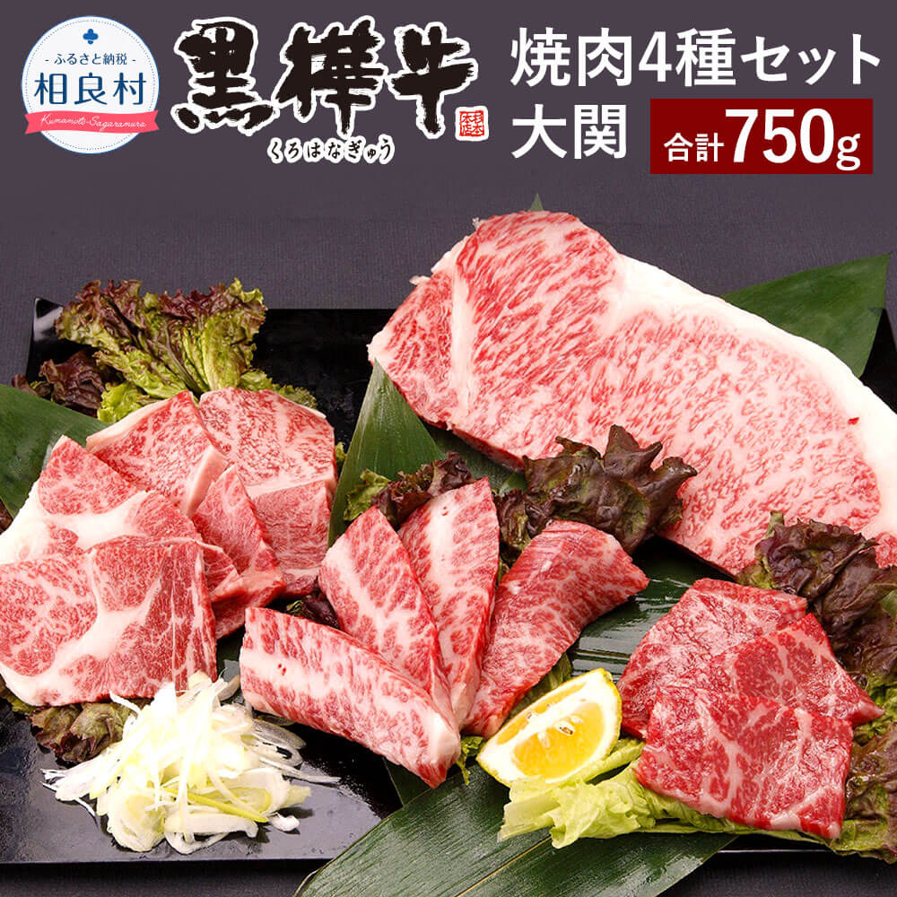 最適な価格 楽天市場 ふるさと納税 黒樺牛 焼肉セット 大関 合計750g 黒毛和牛 サーロインステーキ ロース カルビ モモ 詰め合わせ 牛肉 焼き肉 バーベキュー 九州産 国産 熊本県産 冷凍 送料無料 熊本県相良村 売り切れ必至 Lexusoman Com