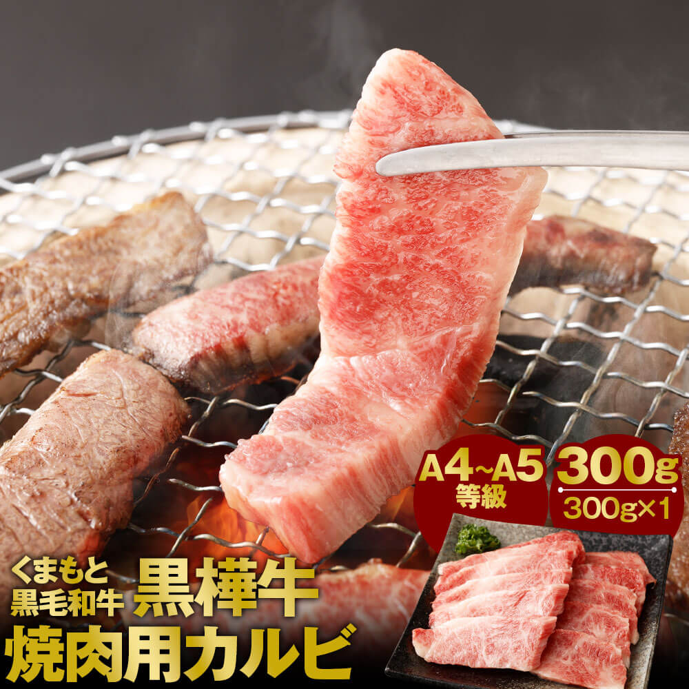 本物◇ くまもと黒毛和牛 黒樺牛 A4〜A5等級 焼肉用カルビ 300g カルビ 焼き肉 和牛 お肉 牛肉 黒毛和牛 国産 九州産 熊本県産 冷凍  送料無料 fucoa.cl