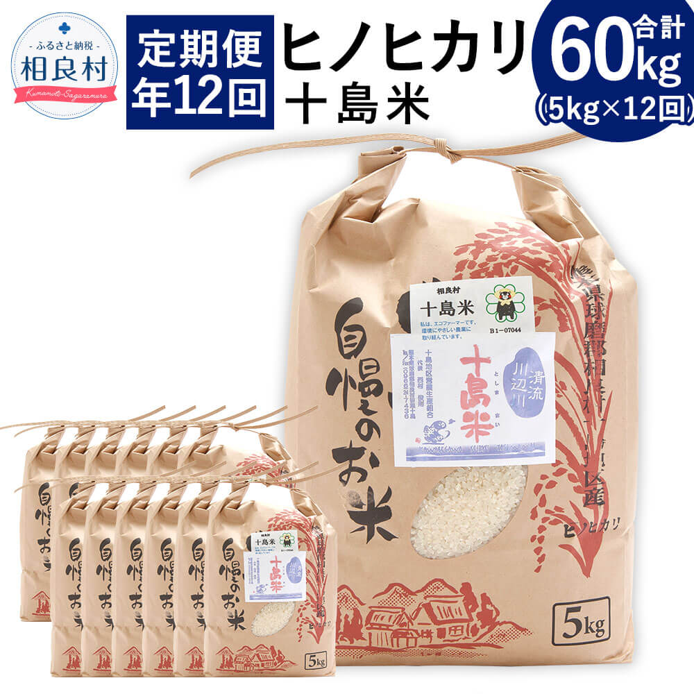 受賞店舗 定期便 年12回 十島米 5kg 12回 合計60kg ヒノヒカリ 定期便 一年 令和2年産 米 白米 お米 ご飯 精米 復興 支援 九州産 熊本県産 相良村産 W 最適な価格 Sinagoga Co Rs