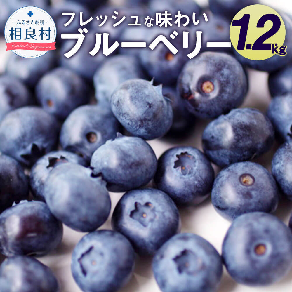 【ふるさと納税】相良村産 ブルーベリー 1.2kg 【2025年6月下旬より発送開始】 数量限定 とよはら農園 熊本県産 九州産 果物 旬 フルーツ スムージー ジャム ヨーグルト 冷蔵 送料無料