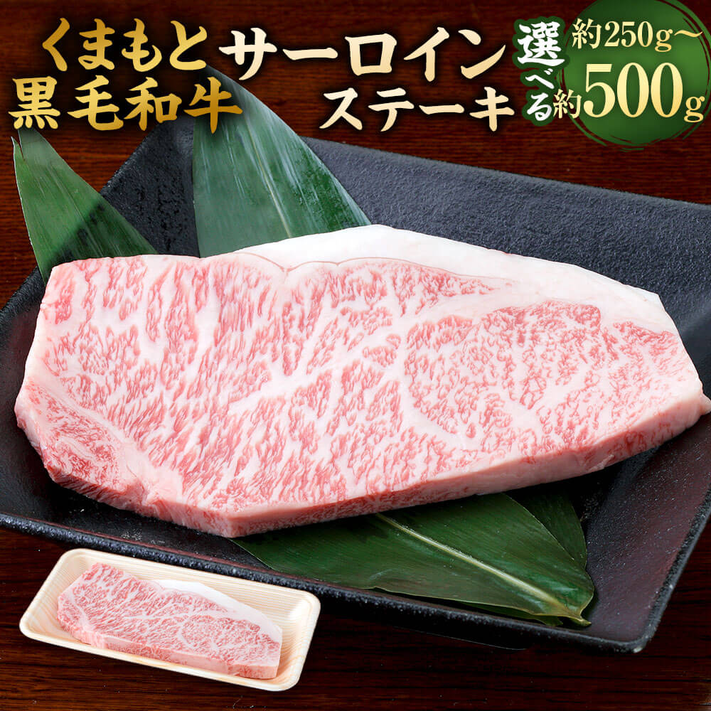 【ふるさと納税】＜選べる 容量＞くまもと黒毛和牛 サーロインステーキ 約250g/約500g（約250g×2） 牛肉 ステーキ サーロイン 九州産 国産 熊本県産 お肉 冷凍 送料無料