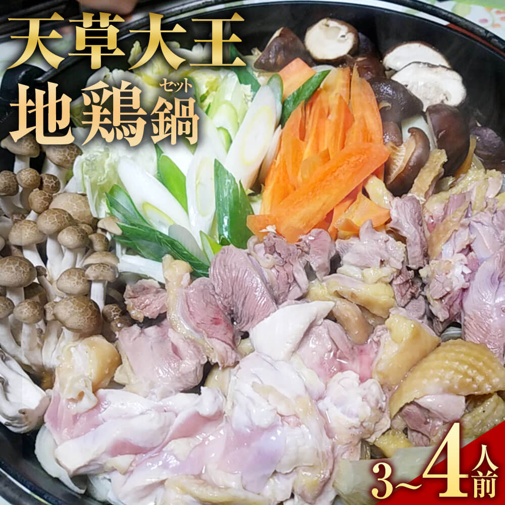 【ふるさと納税】くまもと直送 天草大王 地鶏鍋セット（3～4人前） 熊本地鶏 地鶏 鶏肉 肉 お肉 ぶつ切り肉 カット肉 つみれ だご麺 スープ付き スープ 地鶏鍋 鍋 鍋セット 冷凍 熊本県産 九州産 お取り寄せ グルメ 国産 熊本県 相良村 送料無料｜熊本県相良村