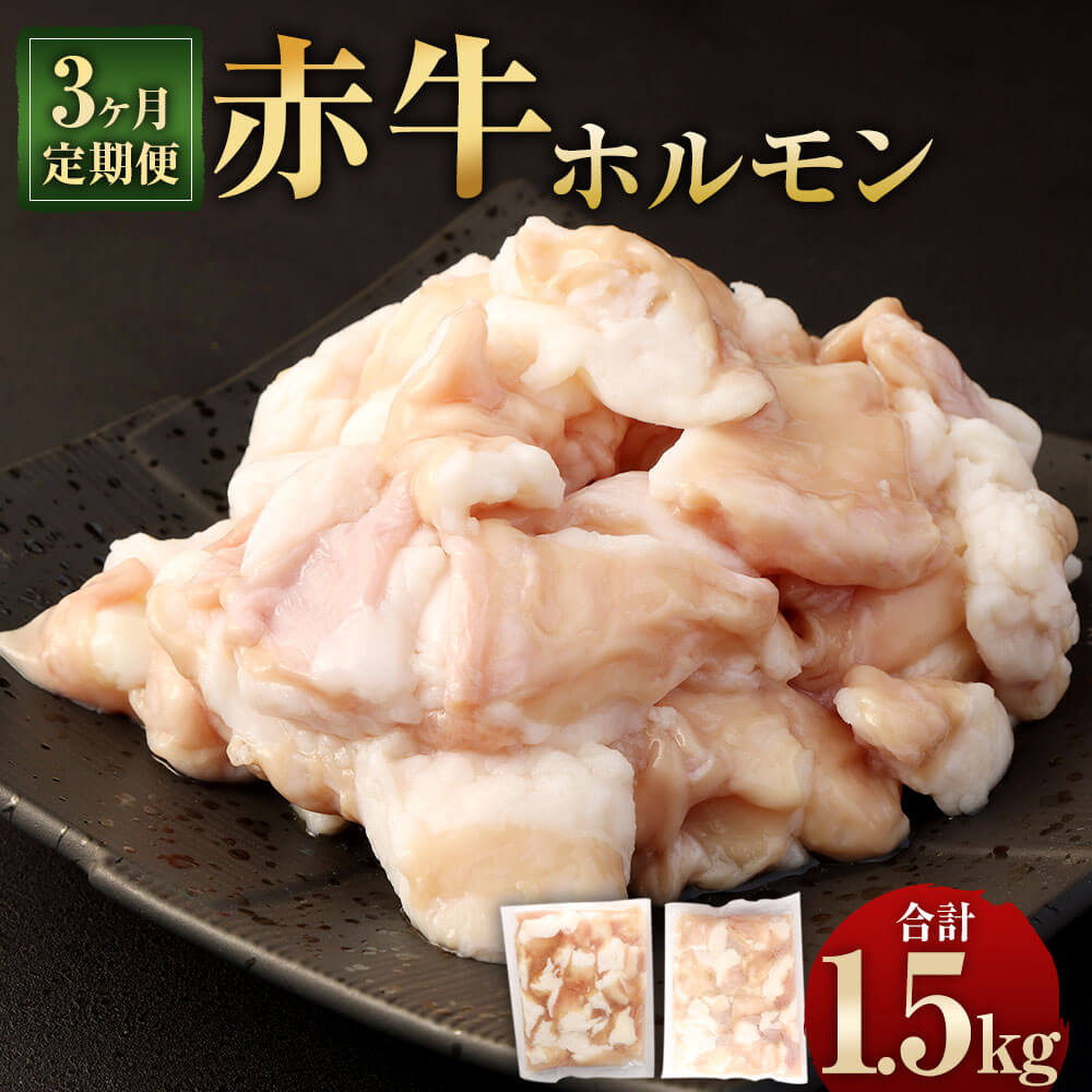 【ふるさと納税】【3ヶ月定期便】赤牛ホルモン 合計1.5kg 1回あたり500g（250g×2パック） 熊本県産 赤牛 小腸 定期便 シロホルモン 九州産 国産 牛肉 肉 ホルモン 冷凍 送料無料