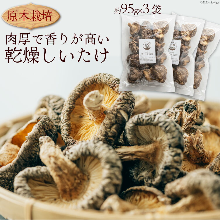【ふるさと納税】原木栽培 乾燥しいたけ 約95g×3P 肉厚 熊本県 特産 [日添 熊本県 五木村 51120233] 椎茸 しいたけ 乾燥椎茸 乾燥 シイタケ 熊本県 五木村 特産