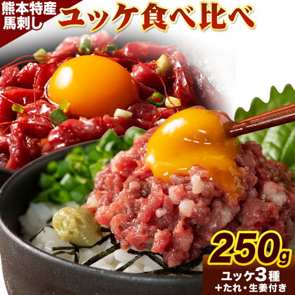 【ふるさと納税】熊本 特産 馬刺し ユッケ 食べ比べ セット 250g ふじ馬刺し 国産馬刺し《30日以内に出荷予定(土日祝除く)》熊本県 山江村 くまもと黒毛和牛 黒毛和牛 冷凍 馬肉 馬刺し 馬 ユッケ ネギトロ たれ 生姜付き 送料無料｜熊本県山江村