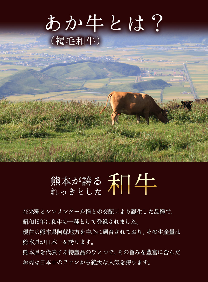 送料無料 フィレ お取り寄せ おとりよせ 山江村 牛肉 ヒレ 450g ふるさと納税 焼き肉のタレ ふるさと納税 フィレ 熊本県 ヘレ 450g あか牛 褐毛和牛 ヒレステーキ 450g くまモンパッケージ焼き肉のタレつき フィレ ヘレ 3 7営業日以内に順次出荷 土日祝除く