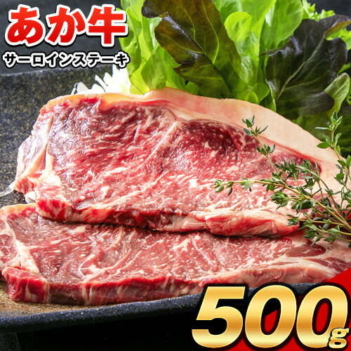 【ふるさと納税】ステーキ 赤身 牛肉 肉 サーロイン ステーキ 500g 褐毛和牛 あか牛 赤牛 ブランド 和牛 ステーキ 贈答 ギフト 送料無料《30日以内に出荷予定(土日祝除く)》