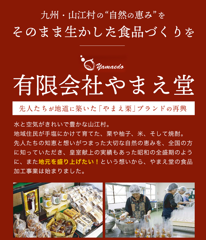 市場 ふるさと納税 有限会社 2袋セット 熊本県産栗渋皮煮250g 熊本県山江村産