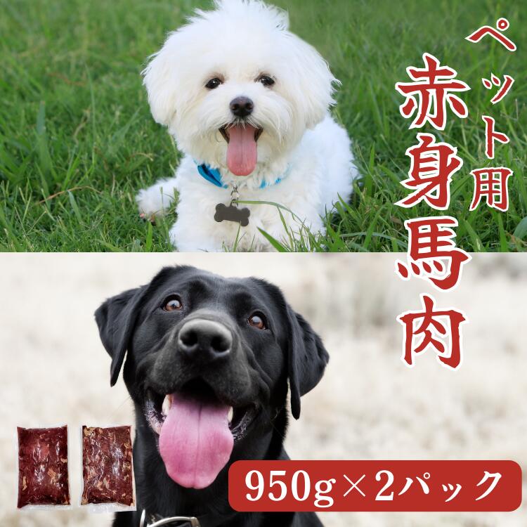【ふるさと納税】【ペット用】馬肉切り落とし 1900ｇ（950ｇ×２パック）馬肉 ペット 犬 ヘルシー 切り落とし 【お届け時期：入金確認後30日前後】