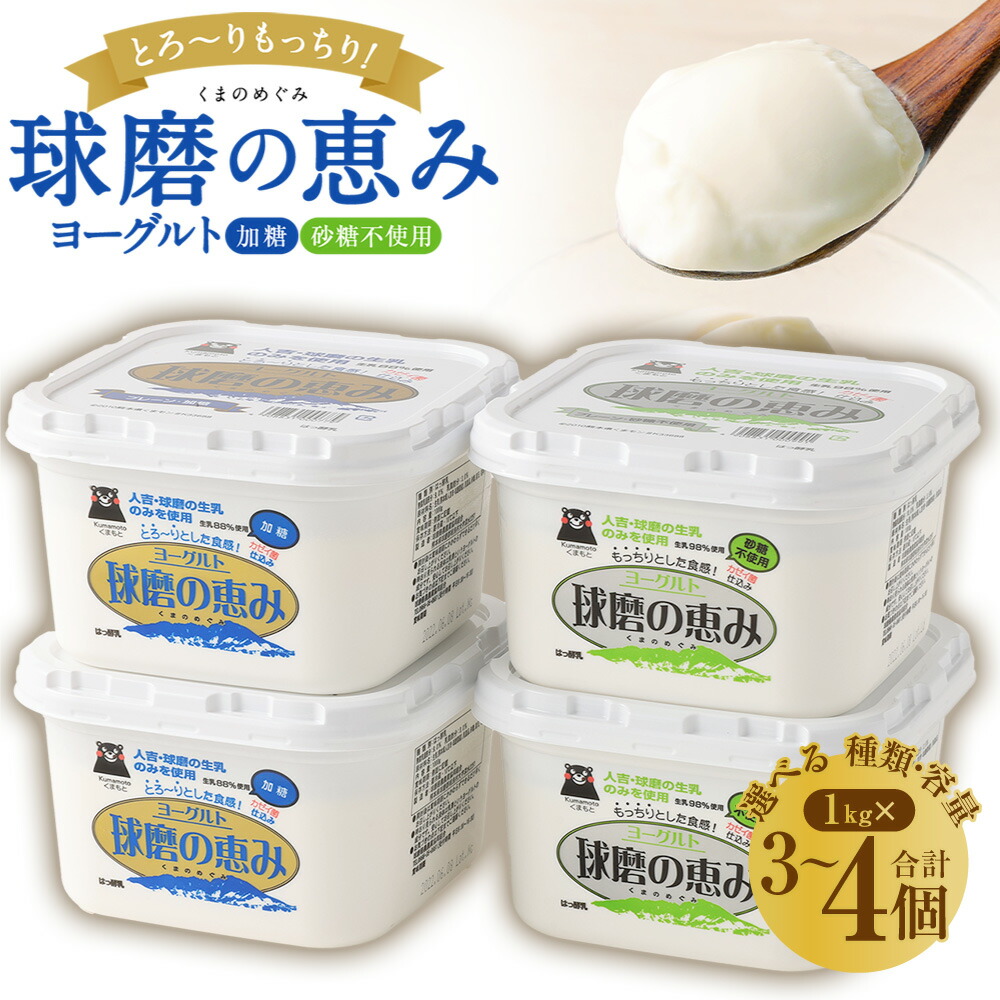 ふるさと納税 あさぎり町 豆腐ハンバーグセット(100g×15個)全12回