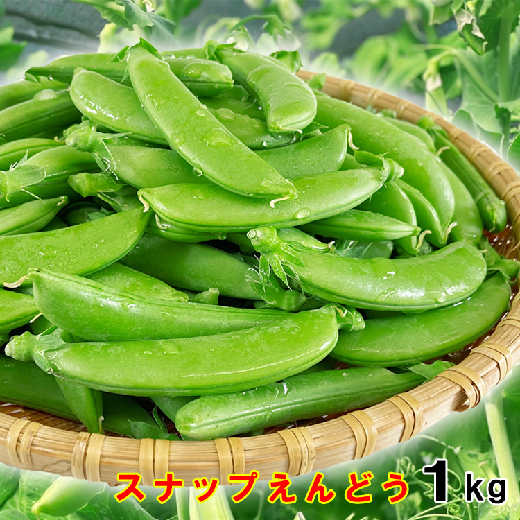 厳選大ぶりサイズのぷりっぷりのスナップえんどう お届け時期 入金確認後日前後 熊本県あさぎり町鮮度 食感抜群 スナップエンドウ 1kg 500g 2袋 スナップえんどう ふるさと納税 熊本県産 Nirmalaprinters Com