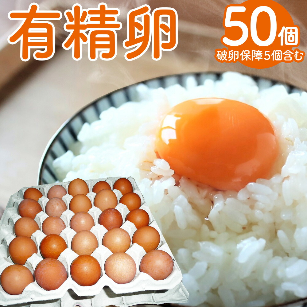 【ふるさと納税】有精卵 50個入り（破卵保障5個含む） 卵 たまご タマゴ 玉子 生卵 鶏卵 卵かけご飯 たまごかけご飯 冷蔵 熊本県産 国産 熊本県 あさぎり町 送料無料｜熊本県あさぎり町