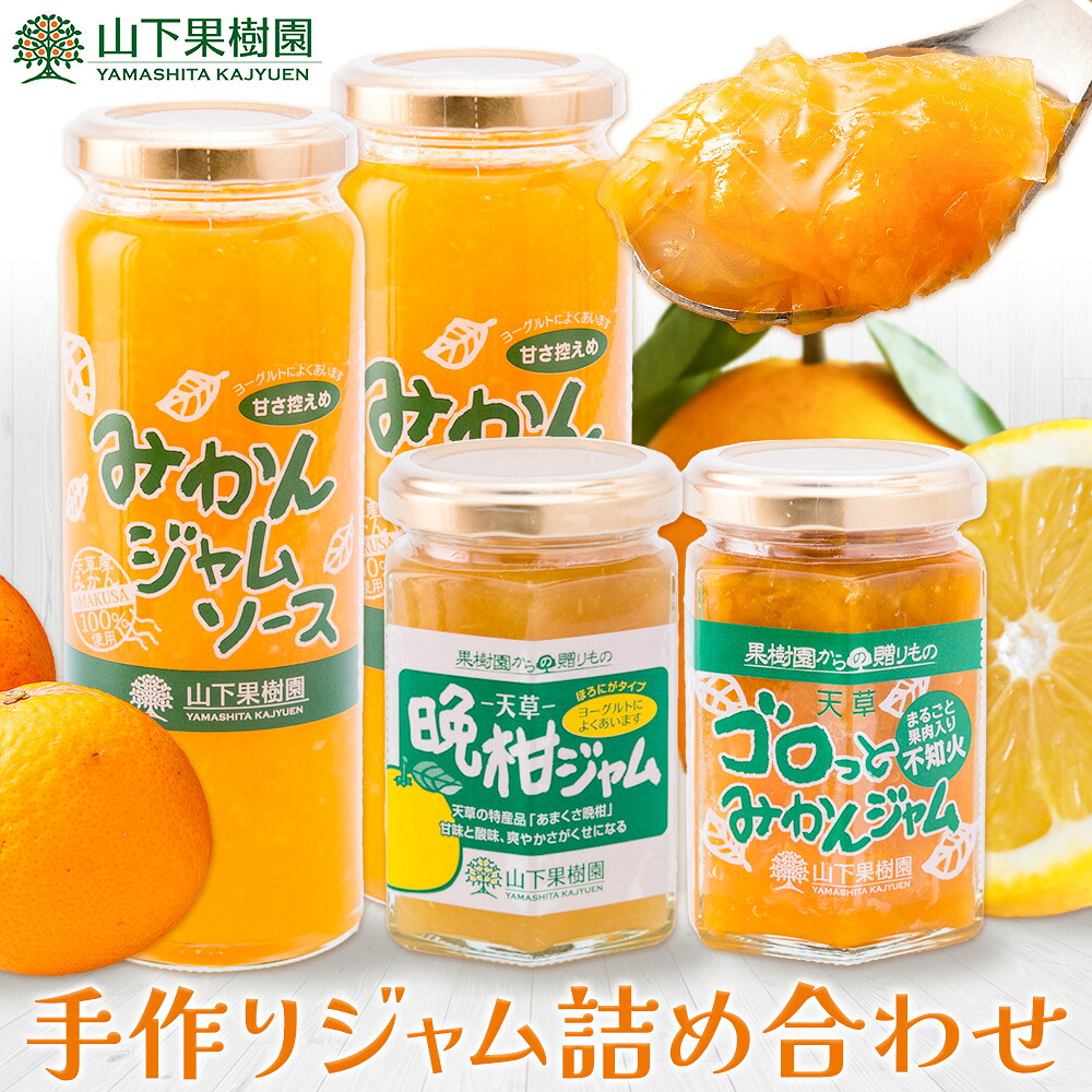 【ふるさと納税】ジャム 手作り 詰め合わせ みかんジャムソース 235g×2本 天草晩柑ジャム 150g×1本 ゴロっとみかんジャム 150g×1本 計3種 計4本セット 山下果樹園 熊本県 苓北町 送料無料 ジャム 手づくり みかん 柑橘《90日以内に出荷予定(土日祝除く)》