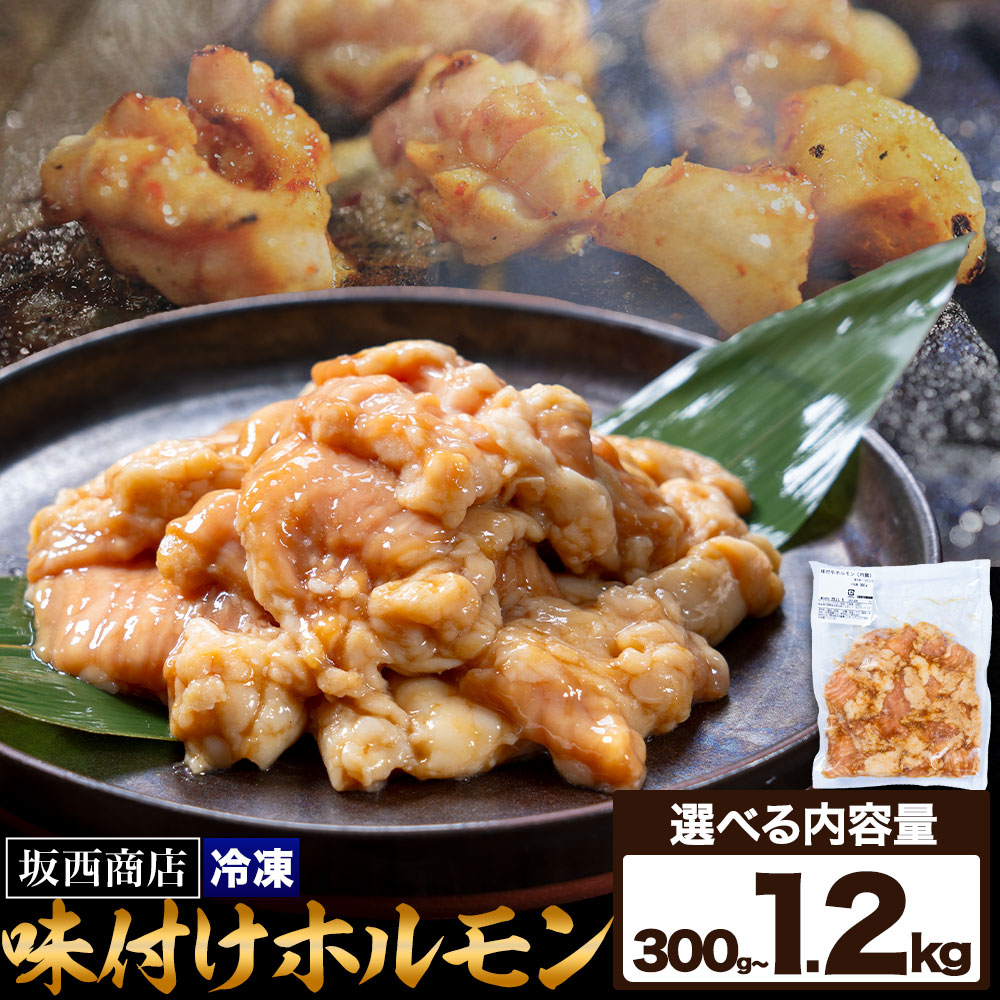 【ふるさと納税】肉 味付け ホルモン 選べる 内容量 300g 600g 900g 1.2kg 坂西商店 【配送不可地域あり】《30日以内に出荷予定(土日祝を除く)》 熊本県 苓北町 ホルモン 牛 タレ 味付き BBQ 肉 にく 送料無料｜熊本県苓北町 8,165円