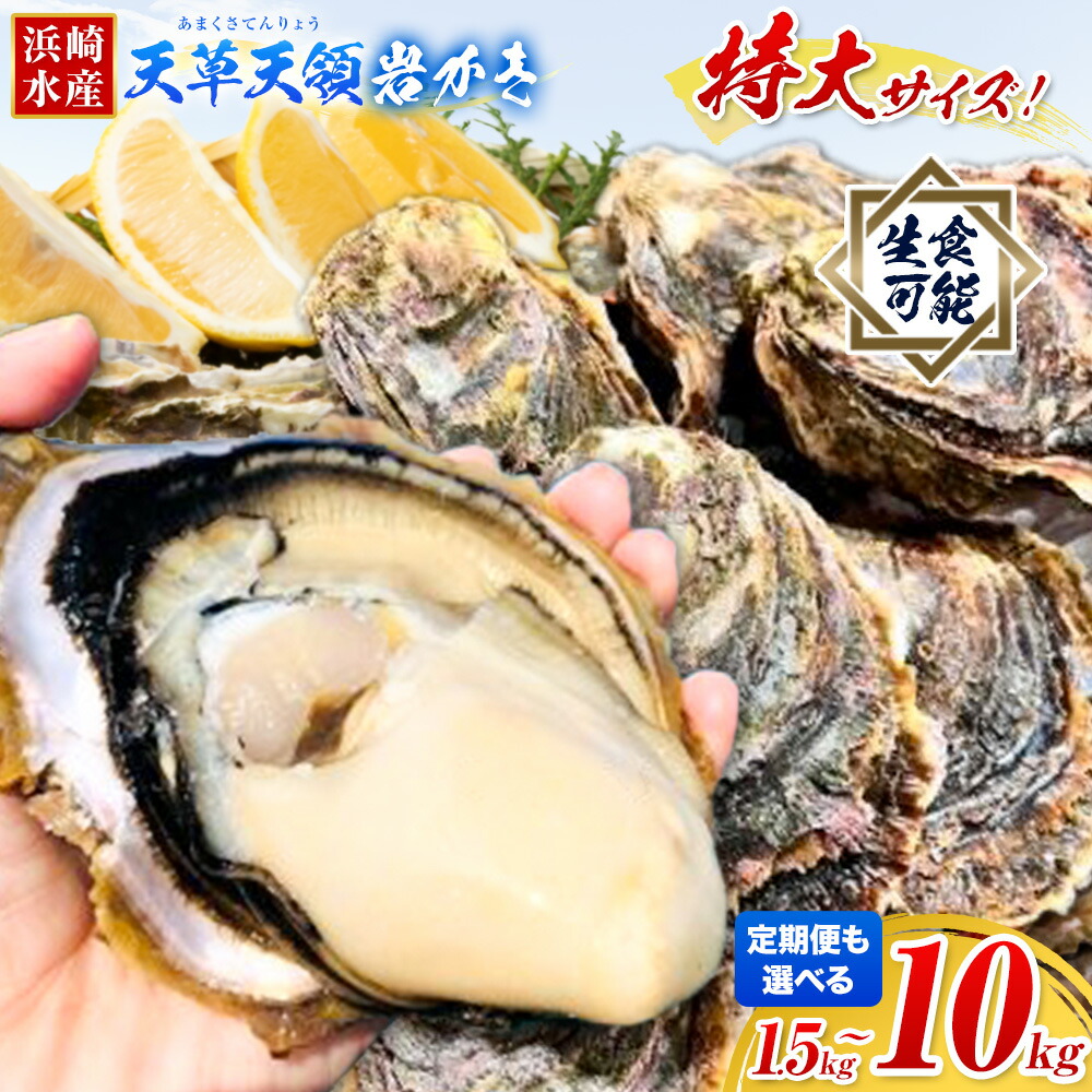 【楽天市場】【ふるさと納税】【2027年先行予約】牡蠣 カキ 天草天領 岩かき 特大 選べる 容量 1.5kg 2.5kg 5kg 《出荷時期をお選びください》海鮮 海産物 シーフード 魚貝類 かき 岩牡蠣 夏牡蠣 生食用 苓北町 浜崎水産 5キロ 冷凍 定期便 【配送不可地域あり】:熊本県苓北町
