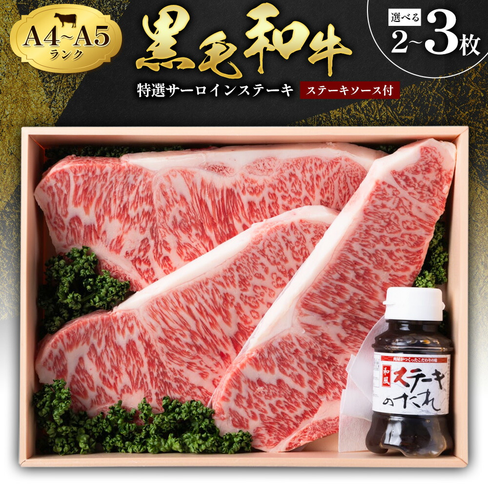 【ふるさと納税】牛肉 黒毛和牛 特選 サーロインステーキ 選べる 2枚入 3枚入 ステーキソース 1本付 A4 A5ランク 《30日以内に出荷予定(土日祝除く)》 熊本県 苓北町 ミシュラン ビブグルマン 国産 肉 黒牛 天草 産地直送 送料無料 田中畜産
