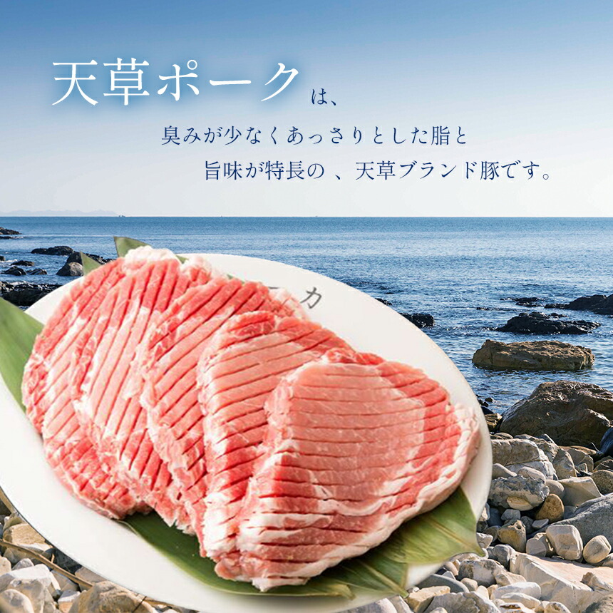 市場 ふるさと納税 豚肉 薄切り 天草ポーク ロース肉 豚バラ