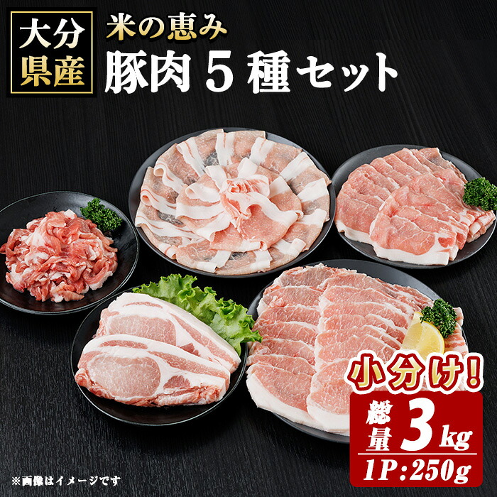 【ふるさと納税】 米の恵み 豚肉 5種 セット(総量3kg) 豚肉 肉 ロース しゃぶしゃぶ 切り落とし 生姜焼き トンカツ 国産 小分け 【optk008】【大分県畜産公社】｜大分県 20,440円