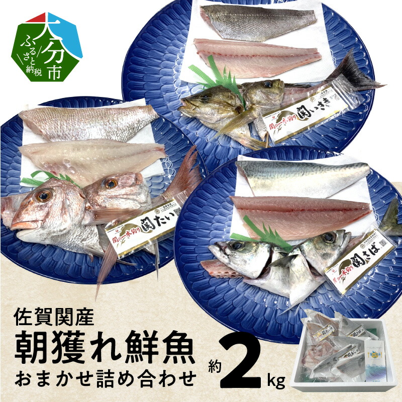 【楽天市場】【ふるさと納税】佐賀関産 朝獲れ鮮魚 おまかせ詰め合わせ 約2kg おまかせ詰め合わせ セット 鮮魚 魚 天然鯛 関あじ 関さば 関いさき 甘鯛 太刀魚 イトヨリ タイ アジ サバ イサキ タチウオ 関もの 朝獲れ 旬のお魚 冷凍 海鮮 新鮮 詰合せ E04025:大分県大分市