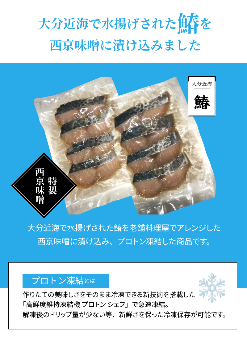 人気ブランド 鰆の西京漬け 切身 E214 大分県大分市 工場直送 Azurpiscines68 Fr