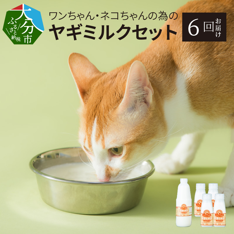 ○日本正規品○ ペット用 ヤギミルク 200ml × １２本 agapeeurope.org