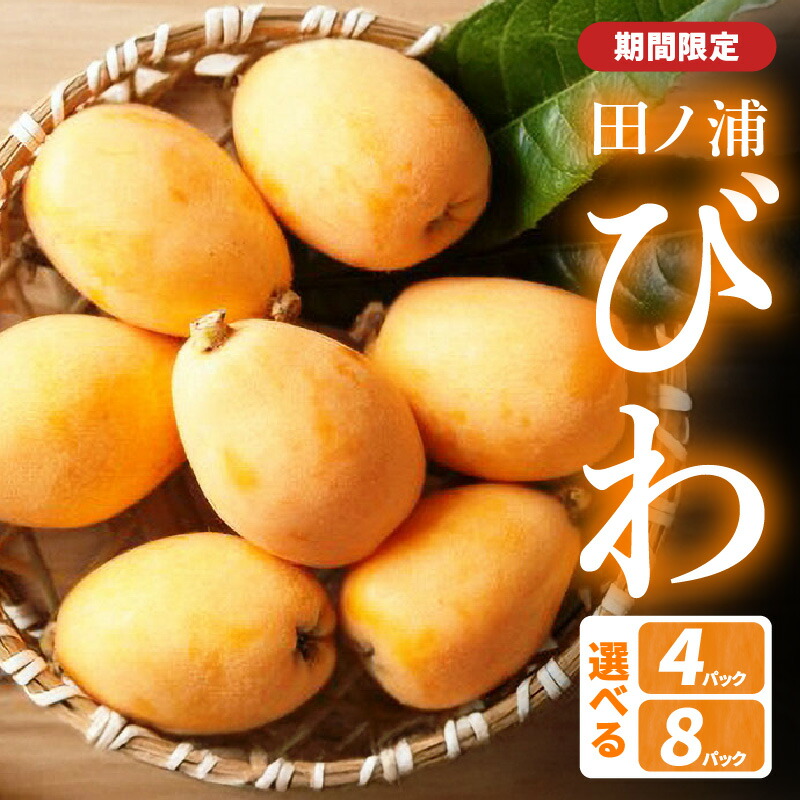 【ふるさと納税】【期間限定】田ノ浦びわ 【選べる内容量】 約1.08kg(270g×4パック)～  数量限定 びわ ビワ 枇杷 果物 フルーツ 甘い 大容量 季節限定 旬 デザート 国産 九州産 大分産 長崎早生 茂木 なつたより おやつ たっぷり ジャム お取り寄せ 高級 C07013 C07014