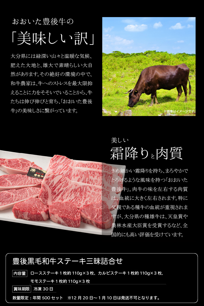 超安い 豊後牛 ブランド牛 牛肉 大分産 国産 セット ふるさと納税 豊後黒毛和牛ステーキ三昧詰合せ約990g ロースステーキ 大分県大分市 A 冷凍 数量限定 ギフト 贈答 パーティー バーベキュー 焼肉 焼き肉 食べ比べ モモ カルビ 牛肉