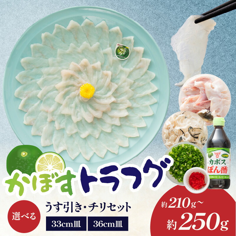 【ふるさと納税】かぼすトラフグ うす引き・チリセット【選べる内容量】33cm皿(210g) or 36cm皿(250g)【12月～2月までお届け】 ふぐ フグ ふぐ刺し 薄引き ふぐちり てっちり かぼす トラフグ お祝い 記念日 カボスポン酢 アラ E05027 E05028 52,200円