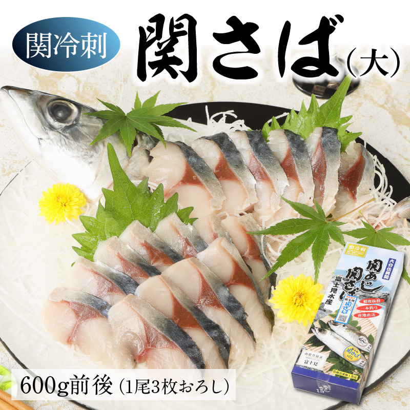 関冷刺 関さば 大 鯖 お刺身 冷凍 約600g 3枚おろし 関サバ 下処理済み 海鮮丼 E サバ 魚