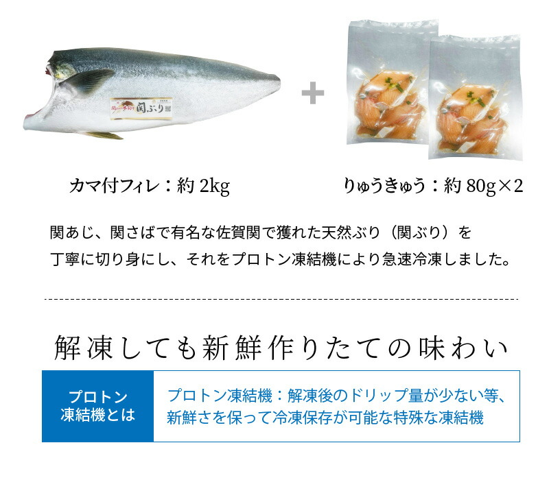 ふるさと納税 関ぶりのフィレとりゅうきゅうセット 大分郷土料理 カマ付きフィレ2kg りゅうきゅう約80g 2 タレ漬け 天然ぶり 関ブリ ブリ 鰤 ブランド魚 海鮮丼 冷凍 E 大分県大分市 Rehacare Co Nz