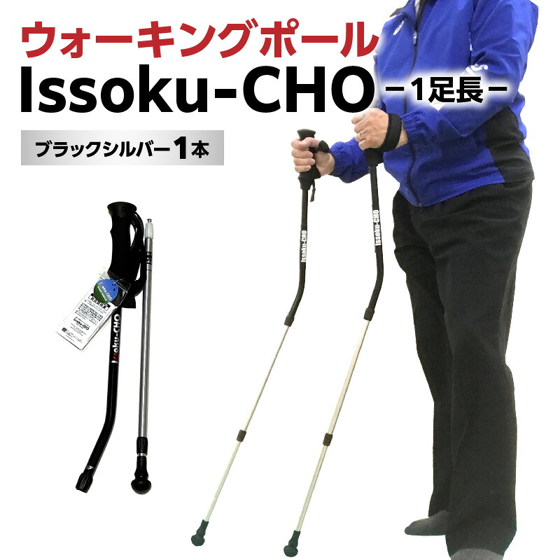 【ふるさと納税】ウォーキングポール Issoku-CHO（1足長） ブラックシルバー 1本 杖 歩行補助 特許取得 グッドデザイン賞 アウトドアスポーツ 山登り トレッキング ハイキング 登山 ウォーキング R17007