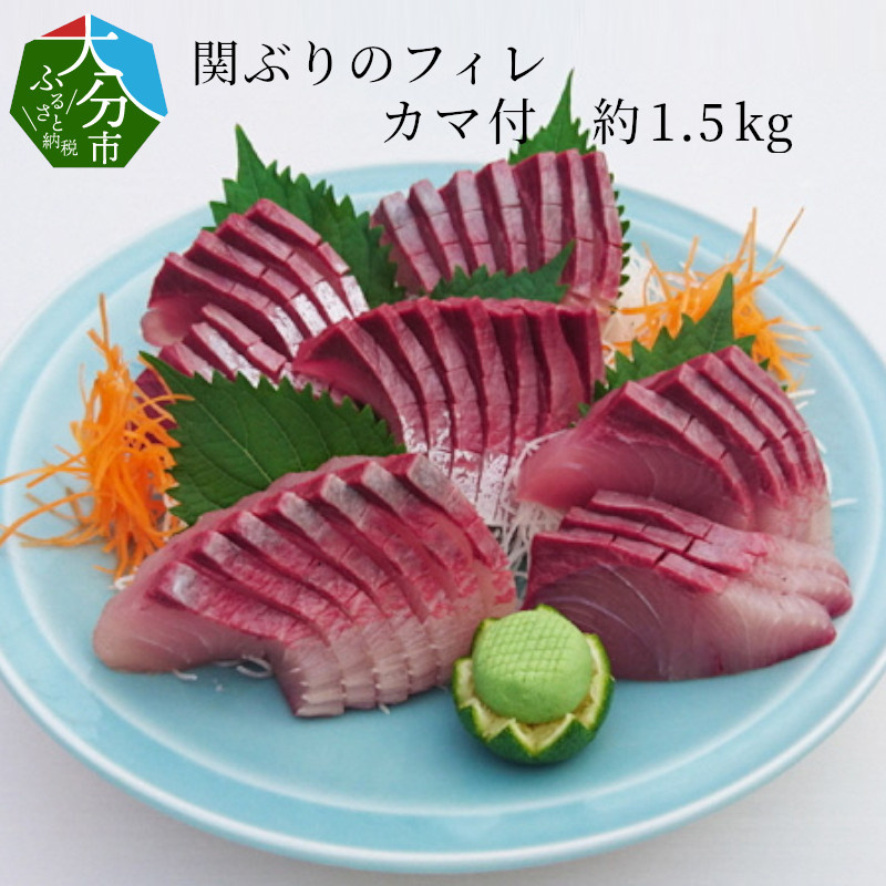 関ぶりのフィレ カマ付 約1 5kg 天然ブリ 焼き魚 冷凍 高級 刺身 ブランド